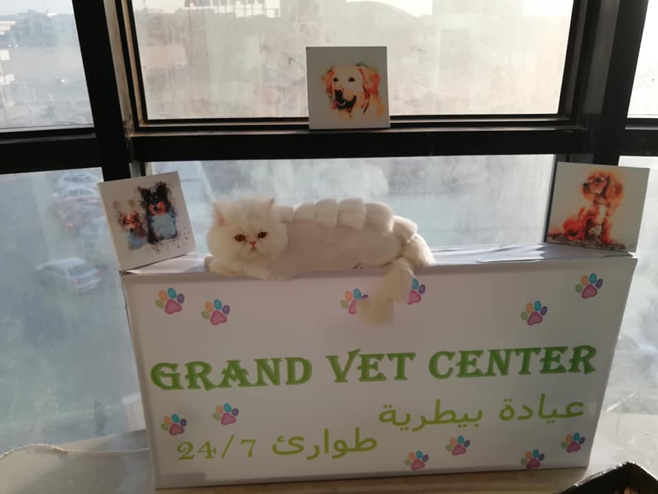 Grand vet center /Dr. Hany kamal_ Dr. hala Eldesouky