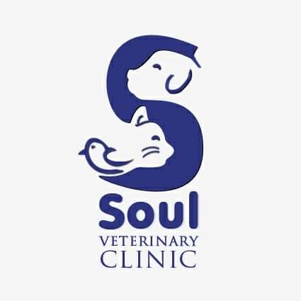 Soul veterinary clinic