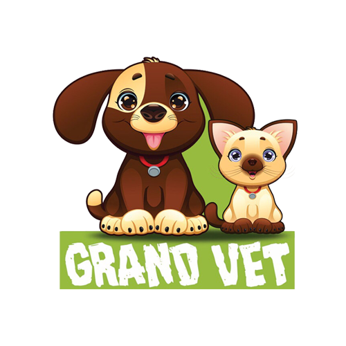Grand vet center